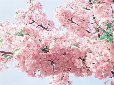 Lídr maďarské strany Tisza a budoucí premiér Péter Magyar. Foto: Wikimeida Commons / Jan Van de Vel